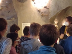 2021-11-02 Archeopark pravěku Všestary