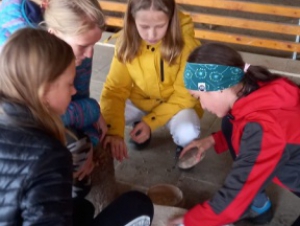 2021-11-02 Archeopark pravěku Všestary