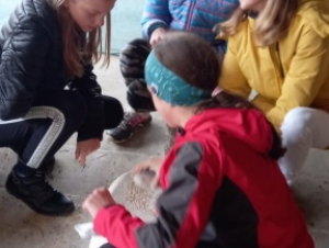 2021-11-02 Archeopark pravěku Všestary