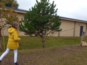 2021-11-02 Archeopark pravěku Všestary