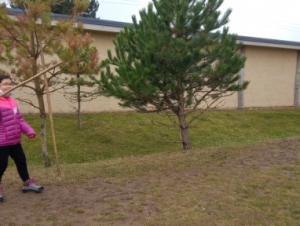 2021-11-02 Archeopark pravěku Všestary