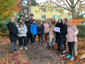 2021-11-04 Projekt krokus