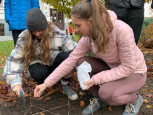 2021-11-04 Projekt krokus