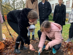 2021-11-04 Projekt krokus