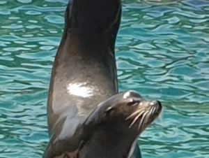 2022-06-12 3.A 4.A Francie