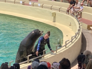 2022-06-12 3.A 4.A Francie