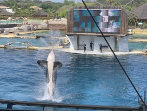 2022-06-12 3.A 4.A Francie