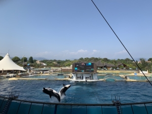 2022-06-12 3.A 4.A Francie