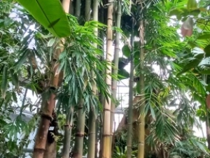 2022-06-21 1.A Botanická zahrada