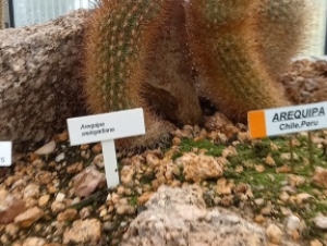 2022-06-21 1.A Botanická zahrada