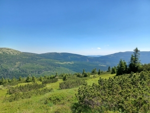 Školní výlet 6.A (26. 6. 2022)