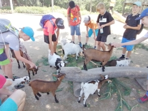 2022-06-27 Školní výlet 1.A