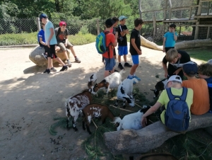 2022-06-27 Školní výlet 1.A