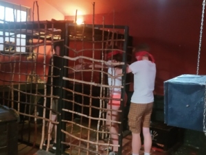 Školní výlet 1.C (27. 6. 2022)