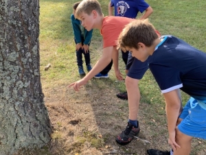 Harmonizační pobyt primy