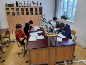 Matematická olympiáda školní