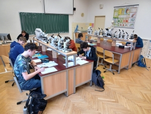 Matematická olympiáda školní