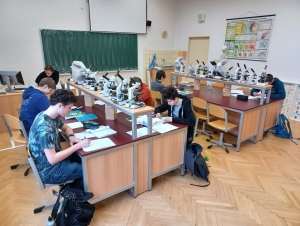 Matematická olympiáda školní