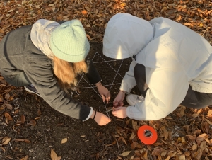 Projekt Krokus (3. 11. 2022)