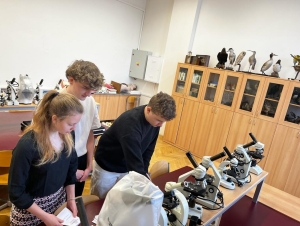 Studentské prezidentské volby 2