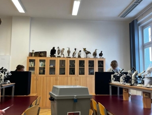 Studentské prezidentské volby 2