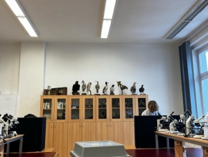 Studentské prezidentské volby 2