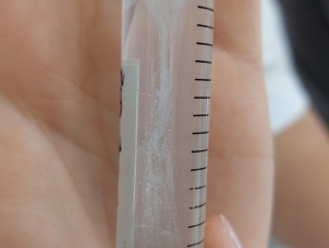 Týden vědy Praha 8.A a 4.C