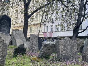 Židovská Praha 3.C