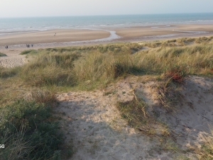 Anglie (10. 5. 2024)