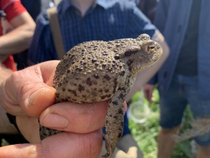 Biologické cvičení 6.A