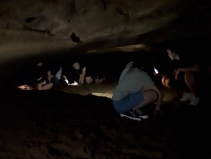 Geologie biologie geografie 2.C