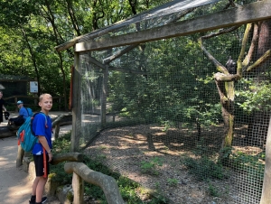 Školní výlet 1. A