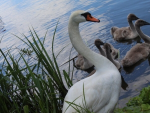 Školní výlet 3. C