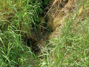 Geografické cvičení 6.A