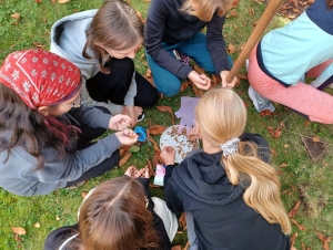 Projekt Krokus (10. 10. 2024)