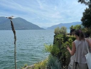 Výměnný pobyt ve Švýcarsku den 3 (červen 2025)