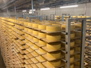 Výměnný pobyt ve Švýcarsku den 4