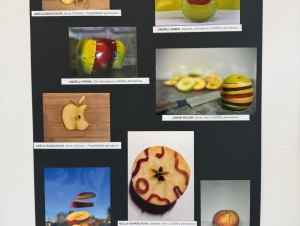 Fotosoutěž (30. 3. 2026)