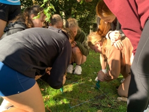 Projekt Krokus (29. 9. 2025)