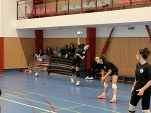 Volejbal dívky okres