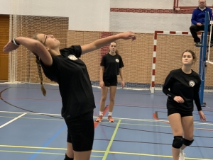 Volejbal dívky okres
