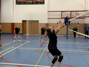 Volejbal dívky okres