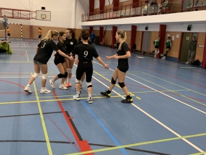 Volejbal dívky okres